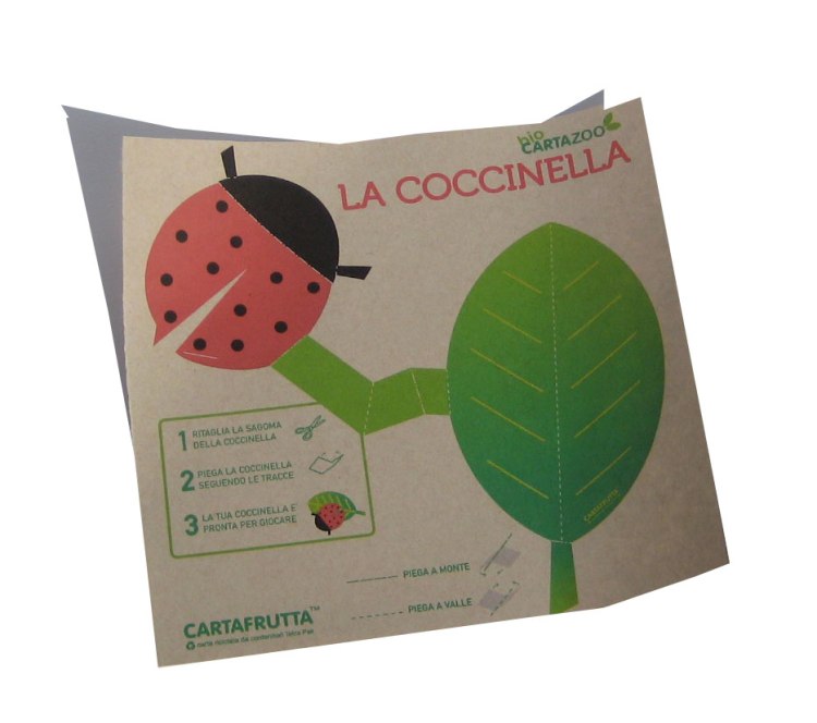 coccinella